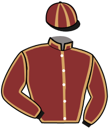 casaque portée par Poulain Mme Aga. jockey du cheval de course HILLONA DE NESLE, information pmu ZETURF