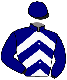 casaque portée par Ducher J. Ph. jockey du cheval de course KARLTON DE JOUX, information pmu ZETURF