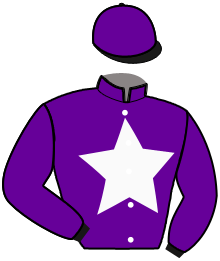 casaque portée par Verriere L. jockey du cheval de course MYSTERE DES MARES, information pmu ZETURF