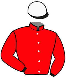 casaque portée par Cinier D. jockey du cheval de course L'AMERICAIN, information pmu ZETURF casaque portée par Cinier D. jockey du cheval de course L'AMERICAIN, information pmu ZETURF