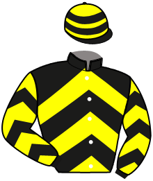 casaque portée par Lamaziere L. jockey du cheval de course HIP HOP SENOVILLE, information pmu ZETURF