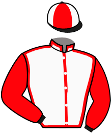 casaque portée par Moutard Jer. jockey du cheval de course CAREGIVER, information pmu ZETURF casaque portée par Moutard Jer. jockey du cheval de course CAREGIVER, information pmu ZETURF