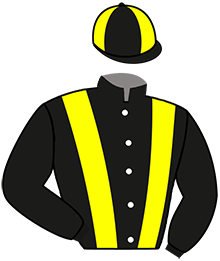 casaque portée par Dabouis A. jockey du cheval de course MOON SIXTEEN, information pmu ZETURF casaque portée par Dabouis A. jockey du cheval de course MOON SIXTEEN, information pmu ZETURF