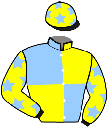 casaque portée par Grandjean Jea. M. jockey du cheval de course JOLIE PETTEVINIERE, information pmu ZETURF casaque portée par Grandjean Jea. M. jockey du cheval de course JOLIE PETTEVINIERE, information pmu ZETURF