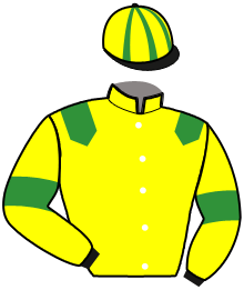 casaque portée par Gueranger J. P. jockey du cheval de course HALADY DES LOYAUX, information pmu ZETURF casaque portée par Gueranger J. P. jockey du cheval de course HALADY DES LOYAUX, information pmu ZETURF
