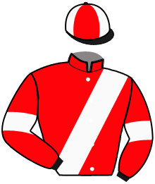 casaque portée par Berthault F. jockey du cheval de course JOYAU DU GRESSY, information pmu ZETURF casaque portée par Berthault F. jockey du cheval de course JOYAU DU GRESSY, information pmu ZETURF