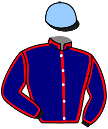 casaque portée par Zuliani A. jockey du cheval de course LUTTEUR BAIE, information pmu ZETURF casaque portée par Zuliani A. jockey du cheval de course LUTTEUR BAIE, information pmu ZETURF