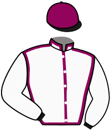 casaque portée par Pacaut Mme Cor. jockey du cheval de course TEXAS WOOD, information pmu ZETURF casaque portée par Pacaut Mme Cor. jockey du cheval de course TEXAS WOOD, information pmu ZETURF