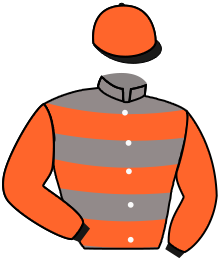 casaque portée par Velon Mlle M. jockey du cheval de course BELLA CRACK, information pmu ZETURF casaque portée par Velon Mlle M. jockey du cheval de course BELLA CRACK, information pmu ZETURF