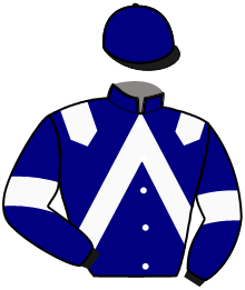 casaque portée par Le Beller T. jockey du cheval de course JINA DE L'ORMERIE, information pmu ZETURF casaque portée par Le Beller T. jockey du cheval de course JINA DE L'ORMERIE, information pmu ZETURF