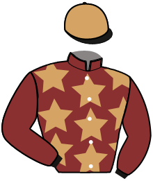 casaque portée par Berthault F. Ph. jockey du cheval de course MEXICA BELLA, information pmu ZETURF