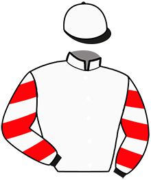 casaque portée par Criado M. jockey du cheval de course LOULOU'S TEAM, information pmu ZETURF casaque portée par Criado M. jockey du cheval de course LOULOU'S TEAM, information pmu ZETURF
