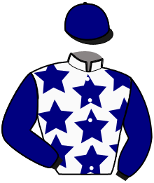 casaque portée par Terry C. jockey du cheval de course JAGUAR D'ERABLE, information pmu ZETURF casaque portée par Terry C. jockey du cheval de course JAGUAR D'ERABLE, information pmu ZETURF