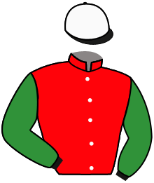 casaque portée par Lebouc Hug. jockey du cheval de course TRIOMPHE DES BOIS, information pmu ZETURF casaque portée par Lebouc Hug. jockey du cheval de course TRIOMPHE DES BOIS, information pmu ZETURF