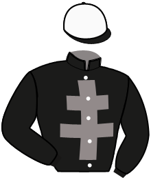 casaque portée par Louche J. C. jockey du cheval de course HELLO CAUVELLIERE, information pmu ZETURF casaque portée par Louche J. C. jockey du cheval de course HELLO CAUVELLIERE, information pmu ZETURF