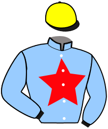 casaque portée par Gelormini G. jockey du cheval de course MAGICAL, information pmu ZETURF casaque portée par Gelormini G. jockey du cheval de course MAGICAL, information pmu ZETURF