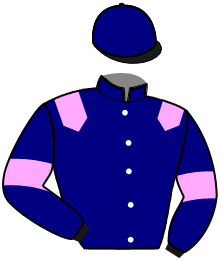 casaque portée par Julien F. jockey du cheval de course IVY DE BENAC, information pmu ZETURF casaque portée par Julien F. jockey du cheval de course IVY DE BENAC, information pmu ZETURF