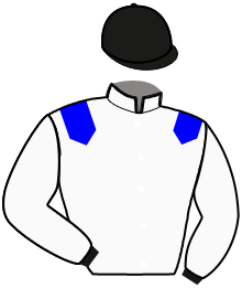 casaque portée par Alunda Mlle A. jockey du cheval de course IRONWOOD PARIS, information pmu ZETURF casaque portée par Alunda Mlle A. jockey du cheval de course IRONWOOD PARIS, information pmu ZETURF