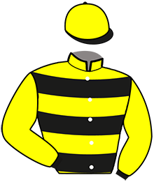 casaque portée par Clozier Cha. jockey du cheval de course ILDO DES CHAMPS, information pmu ZETURF casaque portée par Clozier Cha. jockey du cheval de course ILDO DES CHAMPS, information pmu ZETURF
