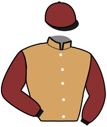 casaque portée par Fleury P. X. jockey du cheval de course GRAZIA DU BELLAY, information pmu ZETURF casaque portée par Fleury P. X. jockey du cheval de course GRAZIA DU BELLAY, information pmu ZETURF