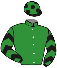 casaque portée par Marty F. jockey du cheval de course KSAR DE MONE, information pmu ZETURF casaque portée par Marty F. jockey du cheval de course KSAR DE MONE, information pmu ZETURF