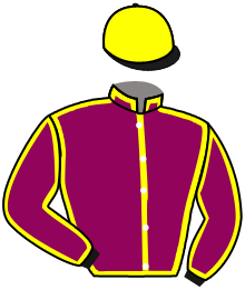 casaque portée par Valle Skar Mlle F. jockey du cheval de course AMICO PIETRO, information pmu ZETURF