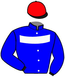 casaque portée par Rochard B. jockey du cheval de course KAPLA DEVOL, information pmu ZETURF