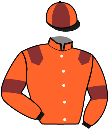 casaque portée par Rochard B. jockey du cheval de course NINO VERO, information pmu ZETURF casaque portée par Rochard B. jockey du cheval de course NINO VERO, information pmu ZETURF
