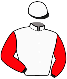 casaque portée par Ploquin Pau. Ph. jockey du cheval de course DIAMOND TRUPPO, information pmu ZETURF casaque portée par Ploquin Pau. Ph. jockey du cheval de course DIAMOND TRUPPO, information pmu ZETURF