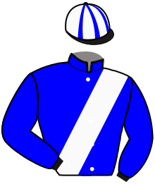 casaque portée par Duvaldestin C. jockey du cheval de course IDEAL DU ROCHER, information pmu ZETURF casaque portée par Duvaldestin C. jockey du cheval de course IDEAL DU ROCHER, information pmu ZETURF