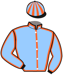 casaque portée par Congard R. jockey du cheval de course JABLONSKI, information pmu ZETURF