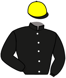 casaque portée par Ensch N. jockey du cheval de course NAIADE TURGOT, information pmu ZETURF casaque portée par Ensch N. jockey du cheval de course NAIADE TURGOT, information pmu ZETURF