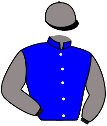 casaque portée par Subias A. jockey du cheval de course WE CAN DO IT, information pmu ZETURF casaque portée par Subias A. jockey du cheval de course WE CAN DO IT, information pmu ZETURF