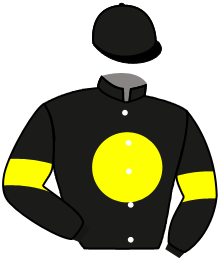 casaque portée par Mayeur R. jockey du cheval de course JIGTSAR PAM, information pmu ZETURF casaque portée par Mayeur R. jockey du cheval de course JIGTSAR PAM, information pmu ZETURF
