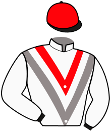 casaque portée par Behocaray Max. jockey du cheval de course KEN D'ARZ, information pmu ZETURF casaque portée par Behocaray Max. jockey du cheval de course KEN D'ARZ, information pmu ZETURF
