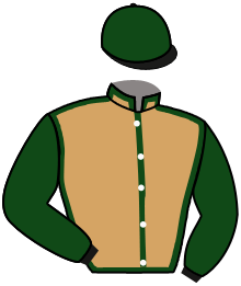 casaque portée par Joubert Mme C. jockey du cheval de course ALBANA DES ISLES, information pmu ZETURF casaque portée par Joubert Mme C. jockey du cheval de course ALBANA DES ISLES, information pmu ZETURF