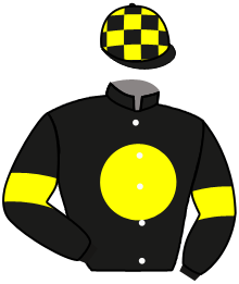 casaque portée par Mayeur R. jockey du cheval de course MENTALO, information pmu ZETURF casaque portée par Mayeur R. jockey du cheval de course MENTALO, information pmu ZETURF