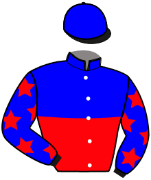 casaque portée par Gautier G. J. jockey du cheval de course KREIZ DE PRAT GUEN, information pmu ZETURF casaque portée par Gautier G. J. jockey du cheval de course KREIZ DE PRAT GUEN, information pmu ZETURF
