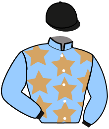 casaque portée par Bourlier Mew. jockey du cheval de course JARKA DE BEYLEV, information pmu ZETURF casaque portée par Bourlier Mew. jockey du cheval de course JARKA DE BEYLEV, information pmu ZETURF