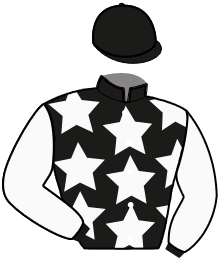casaque portée par Mottier M. jockey du cheval de course MINYA KONKA, information pmu ZETURF casaque portée par Mottier M. jockey du cheval de course MINYA KONKA, information pmu ZETURF