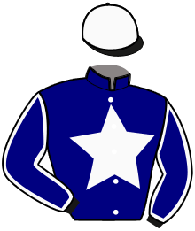 casaque portée par Mottier M. jockey du cheval de course LOS PACOS, information pmu ZETURF casaque portée par Mottier M. jockey du cheval de course LOS PACOS, information pmu ZETURF