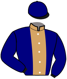 casaque portée par Lamy A. jockey du cheval de course LEGEND DREAM, information pmu ZETURF casaque portée par Lamy A. jockey du cheval de course LEGEND DREAM, information pmu ZETURF