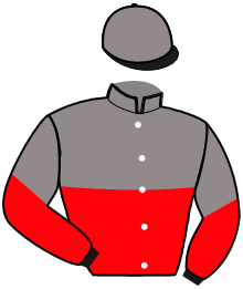 casaque portée par Champenois Mat. jockey du cheval de course LOOK COURTAMBLAY, information pmu ZETURF casaque portée par Champenois Mat. jockey du cheval de course LOOK COURTAMBLAY, information pmu ZETURF