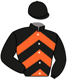 casaque portée par Lebourgeois Y. jockey du cheval de course NOT A BAD DEAL, information pmu ZETURF