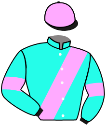casaque portée par Wolff L. jockey du cheval de course DONAMAY, information pmu ZETURF casaque portée par Wolff L. jockey du cheval de course DONAMAY, information pmu ZETURF