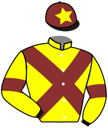 casaque portée par Trullier T. jockey du cheval de course NANALA, information pmu ZETURF casaque portée par Trullier T. jockey du cheval de course NANALA, information pmu ZETURF