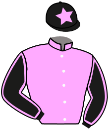 casaque portée par Lemaitre A. jockey du cheval de course EL VEGAS, information pmu ZETURF casaque portée par Lemaitre A. jockey du cheval de course EL VEGAS, information pmu ZETURF