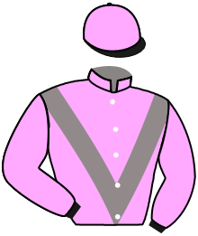 casaque portée par Meunier Gab. jockey du cheval de course KIKOUNETTE, information pmu ZETURF casaque portée par Meunier Gab. jockey du cheval de course KIKOUNETTE, information pmu ZETURF