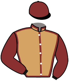 casaque portée par Coupu A. jockey du cheval de course KREMLIN, information pmu ZETURF casaque portée par Coupu A. jockey du cheval de course KREMLIN, information pmu ZETURF