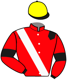 casaque portée par Dubourg K. jockey du cheval de course MARY SHELLEY, information pmu ZETURF casaque portée par Dubourg K. jockey du cheval de course MARY SHELLEY, information pmu ZETURF